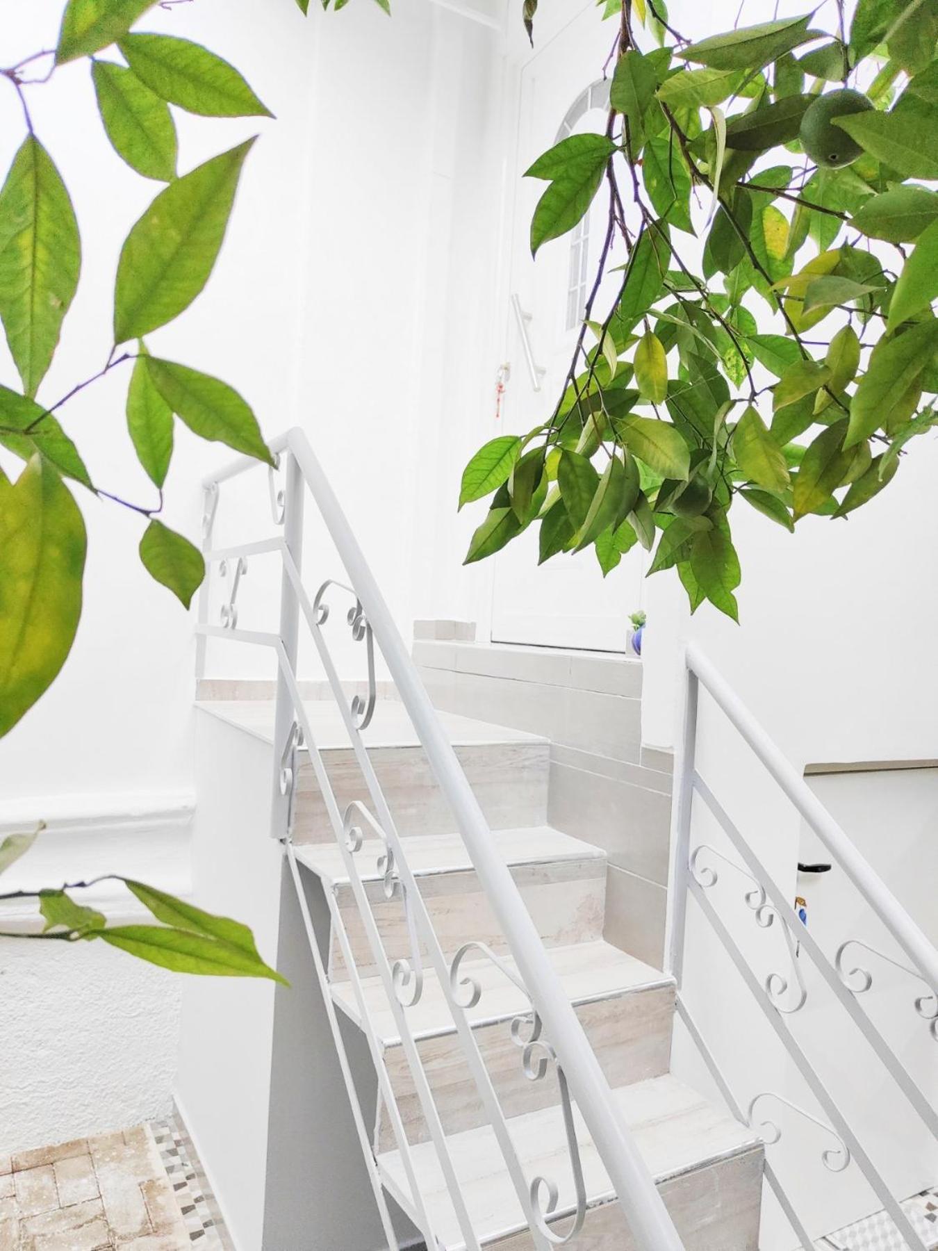 Apartmán Luxury Studio In Nauplio Nafplio Exteriér fotografie